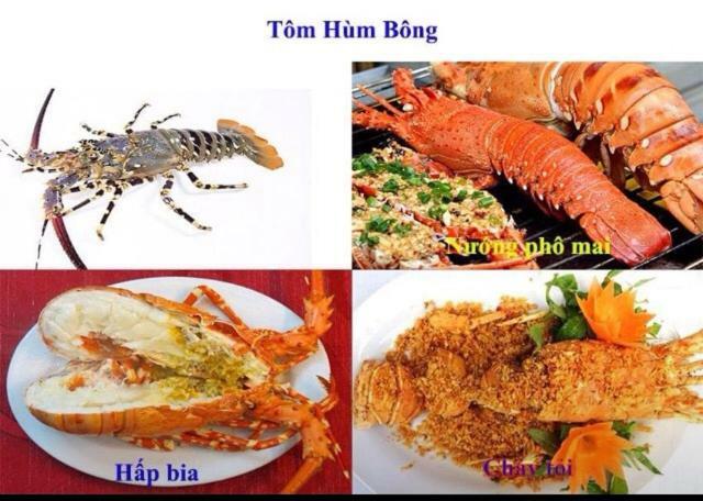 فندق Khach San Thu Linh Thanh Hóa المظهر الخارجي الصورة
