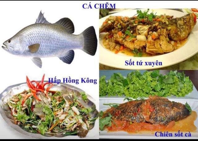 فندق Khach San Thu Linh Thanh Hóa المظهر الخارجي الصورة